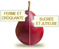 sf-red-pear